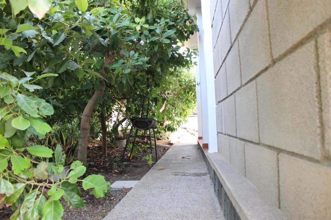 大加那利岛拉斯帕尔马斯Casita Lily别墅 外观 照片